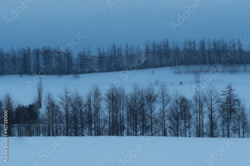 美瑛の丘の冬景色  北海道美瑛町の観光イメージ © tkyszk