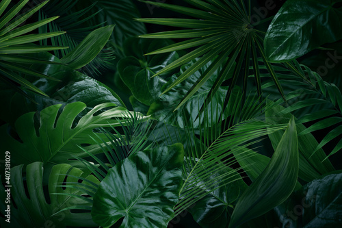 Many bright green tropical leaves as background
