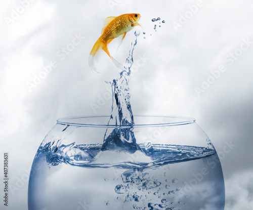 Beautiful goldfish jumping out of water against cloudy sky
