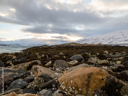 Landschaft im Winter, Kvaloya, Norwegen photo