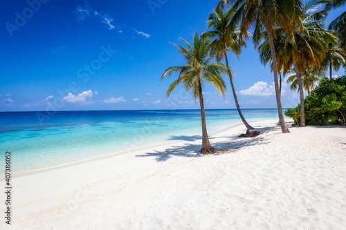 Tropical, sandy beach on a island in the Maldives with turquoise ocean, blue sky, coconut palms by the shore and fine sand © moofushi