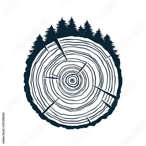 Wood texture of wavy rings pattern from a slice of tree. Monochrome wooden stump