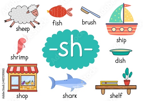 Sh digraph with words educational poster for kids. Learning phonics for school and preschool. Phonetic worksheet. Vector illustration