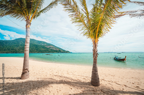 palms and sun beds with sea view. Tropical beach landscape as summer vacation and holiday resort