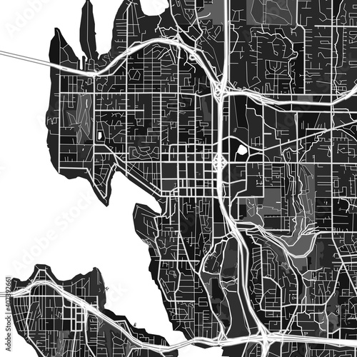 Bellevue, UnitedStates dark vector art map photo