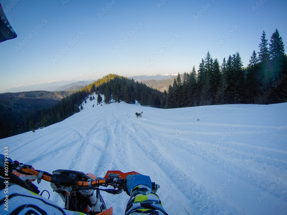 A man rides a snowbike in the mountains. View from the camera on the helmet. Motorcycle clips. Forest in winter