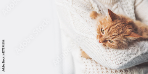 Photos Woman in white cable-knit sweater holds ginger cat on hands