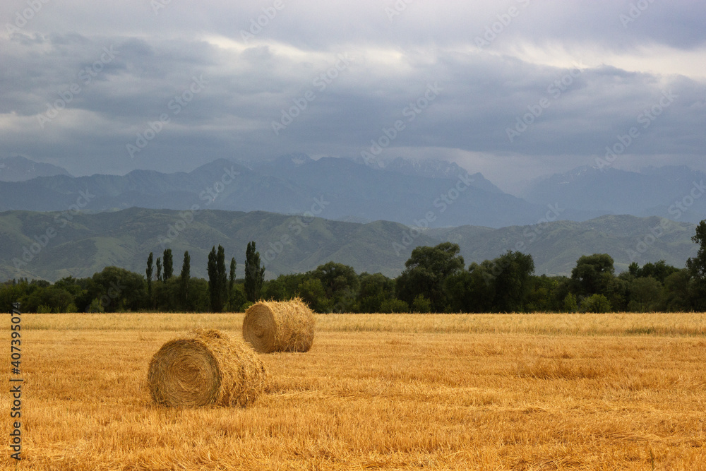 2 Haystack rolls on an agricultural field in the foothills of central asia with copy space.