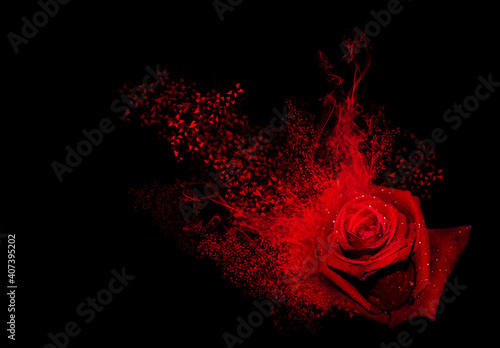 Abstract red rose with smoke and hearts splash on black background