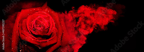 Red rose with smoke on black background