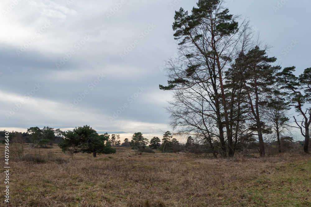 Das Naturschutzgebiet Schlangenberg der Stadt Stolberg Rhld. - Breiniger Berg