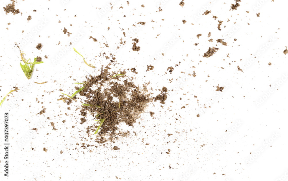 Dirt and moss bits isolated on white background and texture, with clipping path, organic plant and soil texture