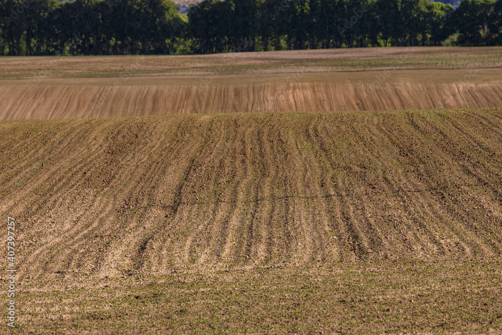 plowed field zhytomyr region ukraine