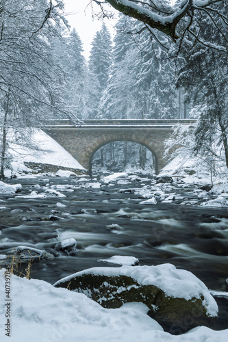 Divoka Orlice river in Zemska brana, Orlicke mountains, Eastern Bohemia, Czech Republic photo