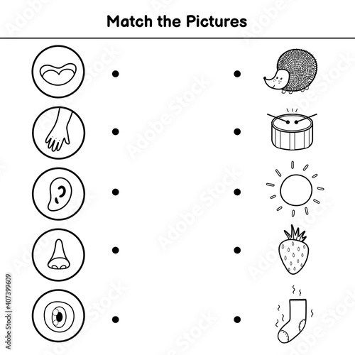 Five senses matching game for kids. Sight, touch, hearing, smell and taste. Match the pictures activity page. Learning body parts black and white coloring page. Vector illustration