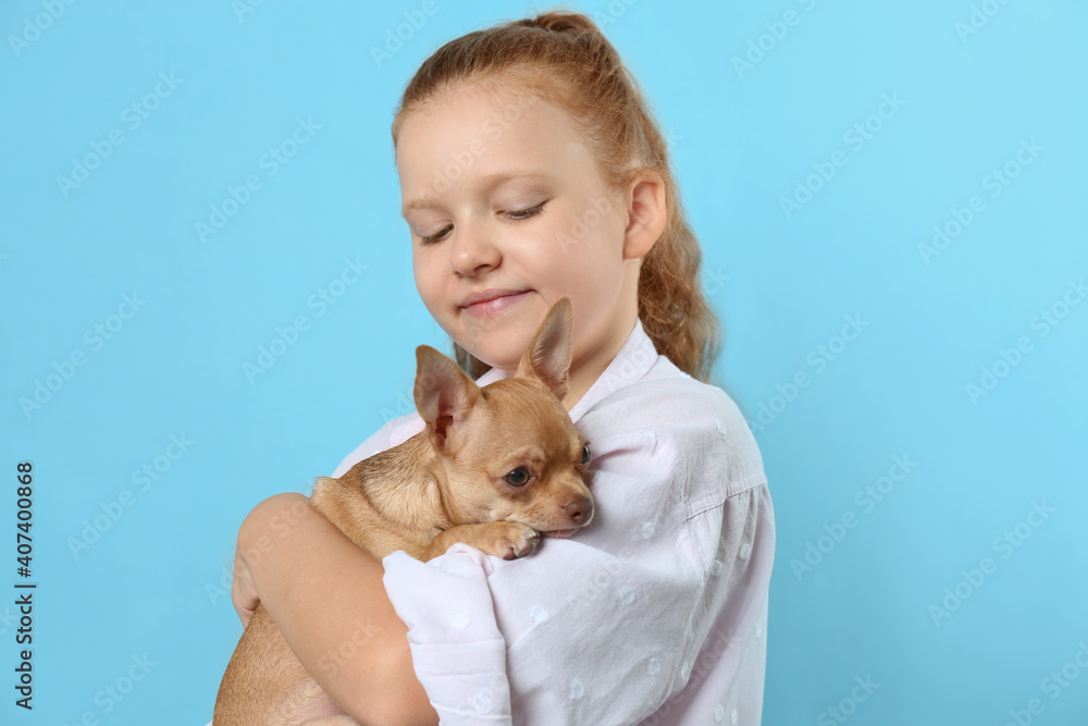 Cute little child with her Chihuahua dog on light blue background. Adorable pet Cute little child with her Chihuahua dog on light blue background. Adorable pet