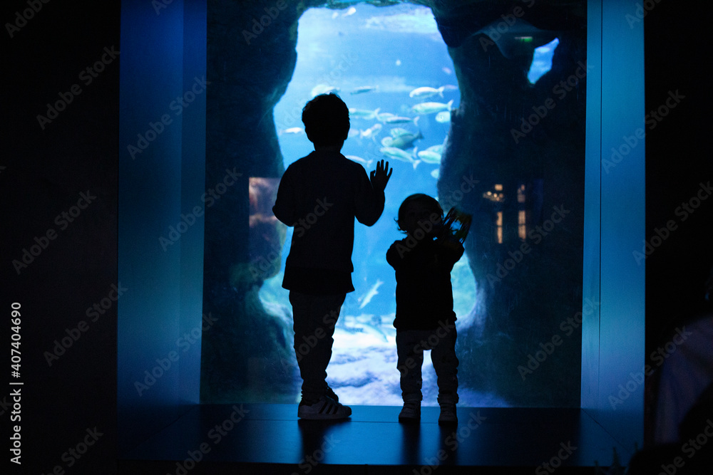 Fototapeta premium Two children in silhouette look in amazement inside an aquarium. Illusion concept. 
