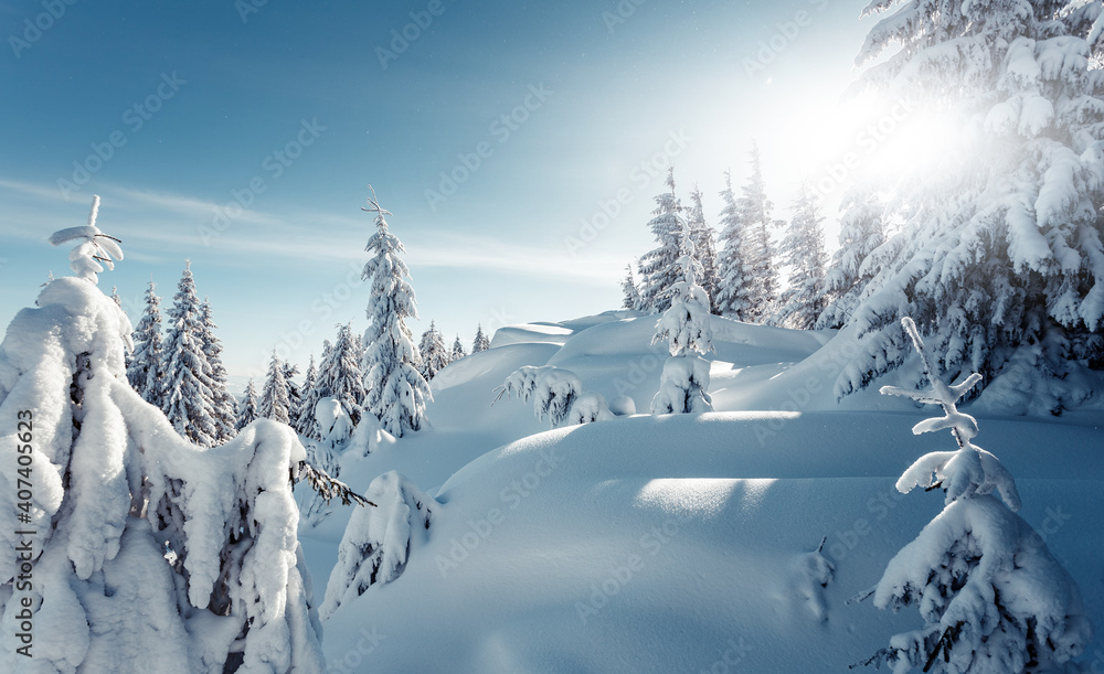 Obraz premium Wonderful Winter Landscape. Awesome Alpine Highlands in Sunny Day. Christmas holyday concept. Winter mountain forest. Snowy mountains and perfect blue sky. Amazing Nature background. postcard