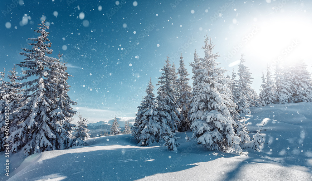 Wonderful wintry landscape. Winter mountain forest. frosty trees under warm sunlight. picturesque nature scenery. creative artistic image. Nature background. winter holiday day. Christlmas concept