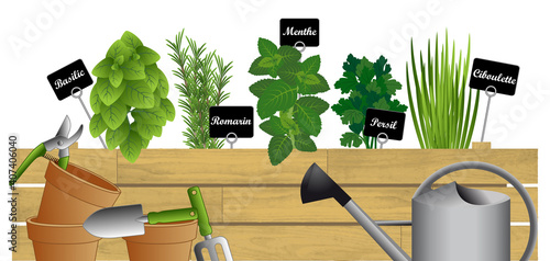 Illustration vectorielle de plantation d’herbes aromatiques dans une caisse en bois - texte français,