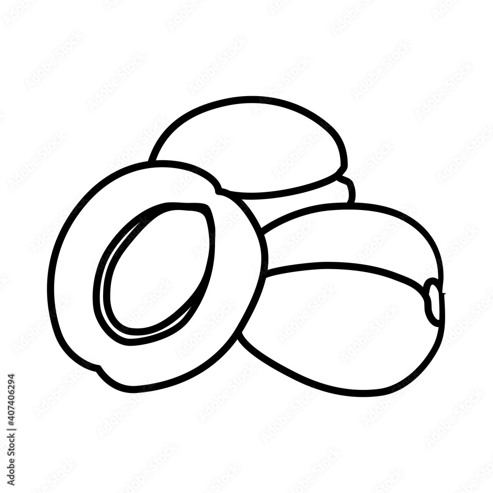 Apricot Fruit Icon. Vector Design Illustration Sign. Apricot Fruit Icon. Vector Design Illustration Sign.