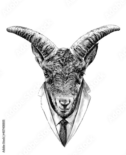 the head of the goat in front is symmetrical with a formal suit in tie and jacket, sketch vector graphics monochrome illustration on white background