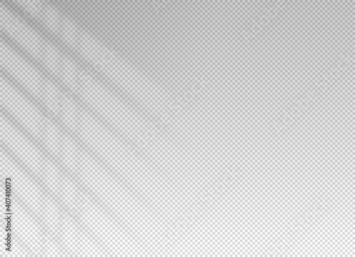 Shadow blinds. Sun light from window. Overlay effect. Shade jalousie transparent. Isolated background. Window blind. Reflection shadows on wall. Realistic soft shade. Horizontal shading mockup. Vector