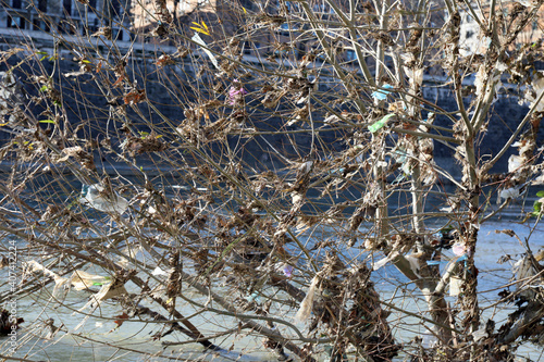 Wallpaper Mural Plastic waste and scraps dragged by the waters of the river accumulate in the surrounding vegetation, among the branches of the trees. Torontodigital.ca