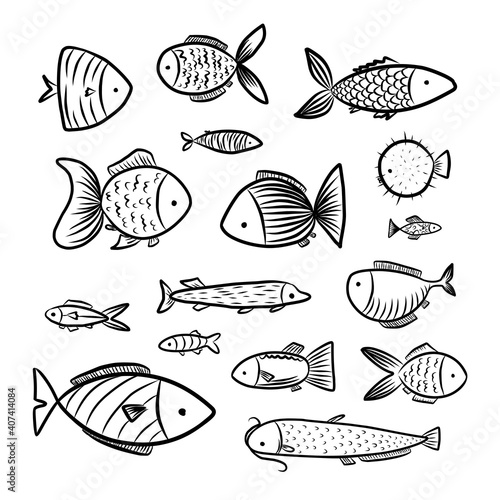 set of fish graphic illustration black white