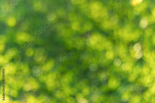 Green abstract blurred light bokeh background.