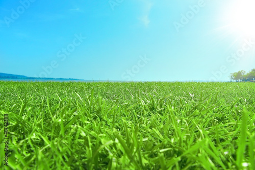 Spring or summer background, with green grass in the sunshine. In the distance the waterfront with the mountain.