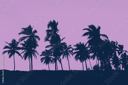  Palms trees sunset colored background