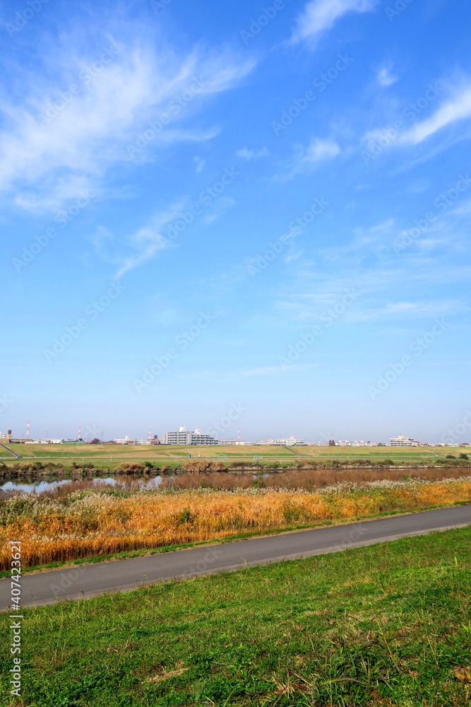 Obraz premium 秋のサイクリング道路のある江戸川土手風景