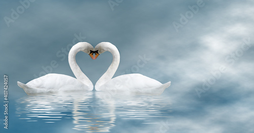 Valentine's Day with two swans on a blue haze background