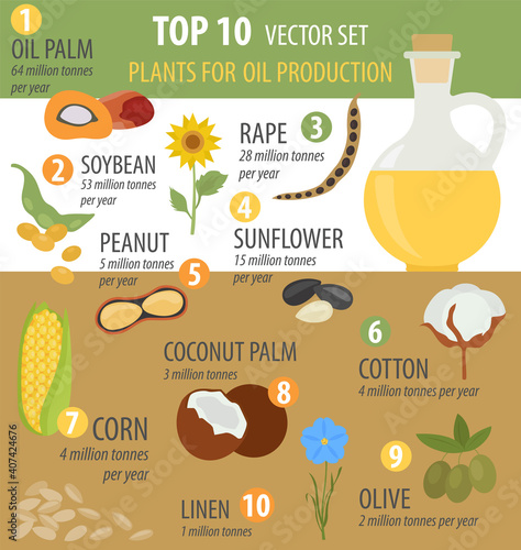 Top 10 plants for vegetable oil production infographic design