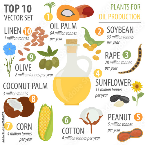 Top 10 plants for vegetable oil production infographic design