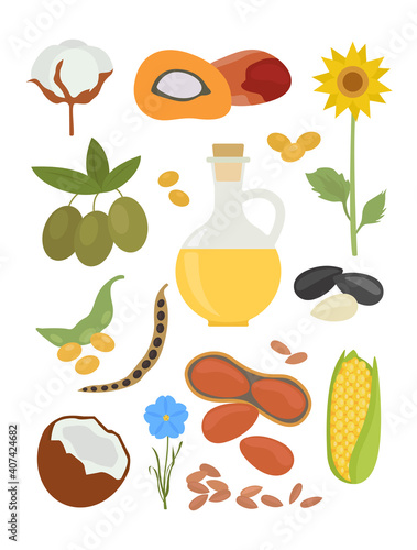 Top 10 plants for vegetable oil production infographic design