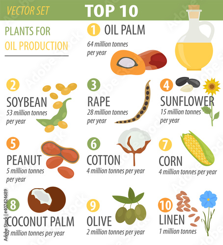 Top 10 plants for vegetable oil production infographic design