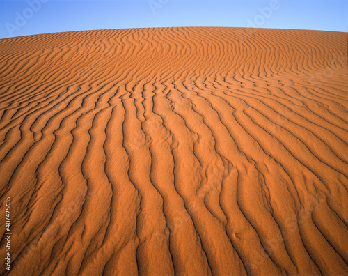 Sahara desert