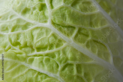 Chinese cabbage close up macro