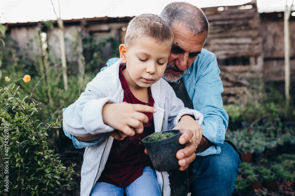 Fototapeta premium grandfather and grandson enjoying time together outdoors in family plant nursery
