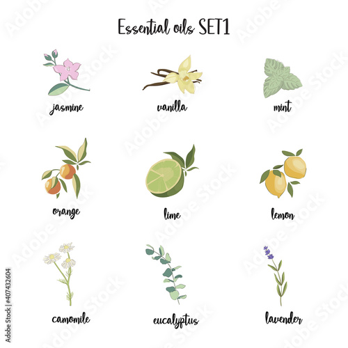set of essential oil plant icons,  cosmetics, spa, aromatherapy, homeopathy, Ayurveda. Jasmine, mint, vanilla, orange, lemon, chamomile, lavender, eucalyptus,  Modern, hand drawn, vector illustration