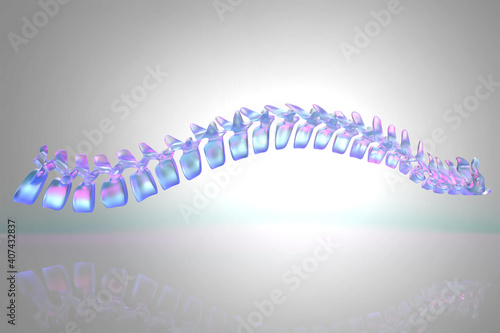 Modern 3d illustration of human spine photo