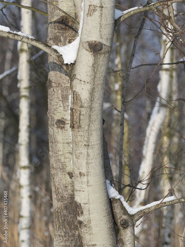 Fototapeta Naklejka Na Ścianę i Meble -  OLYMPUS DIGITAL CAMERA