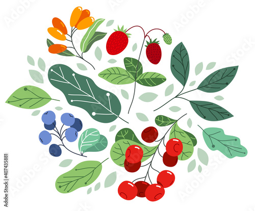 Wild berries fresh and ripe tasty healthy food with leaves vector flat style illustration isolated over white, delicious vegetation diet eating, nature gifts.