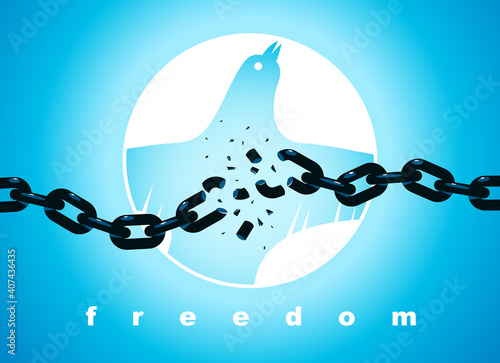 Bird flying up into sky and broken chain in front freedom concept vector poster, liberty and human rights allegory, career or business ambitions, dove spread wings.