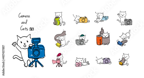 ゆるいカメラマンのかわいいしろねこセット
