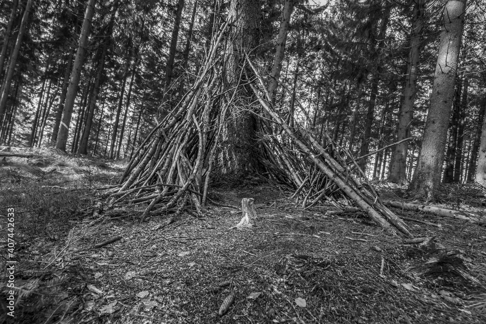 Obraz premium Schwarz weiß Bild Mit Ästen wie ein Tippi selbst gebauter Unterstand Unterschlupf im Wald an einem Baum mit Lagerplatz, Deutschland