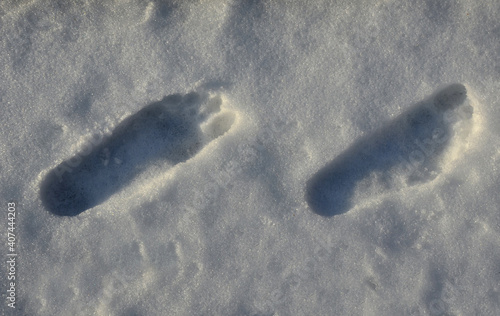 walking through the snow without boots. First take off your socks and then come across the snow cover. The legs are perfused and burning strongly. it is healthy photo