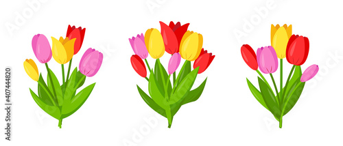 Set of tulips bouquets isolated on white background.